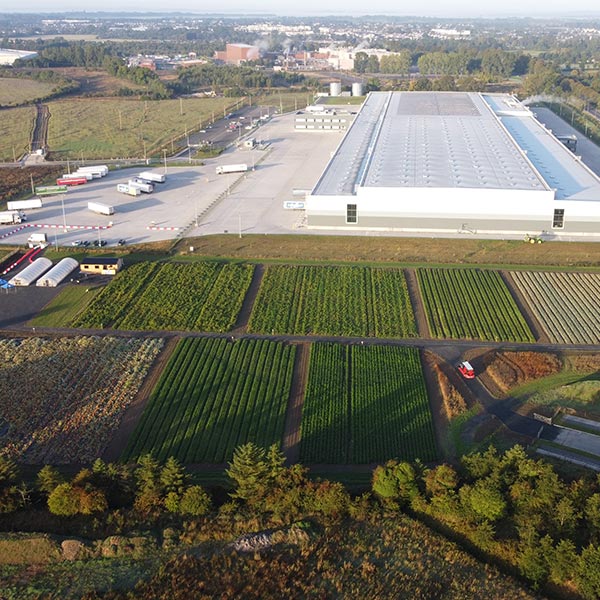 The Lidl Farm