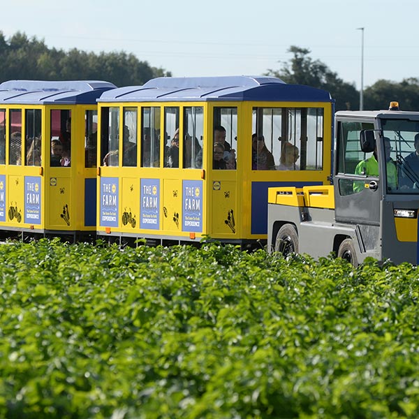The Lidl Farm