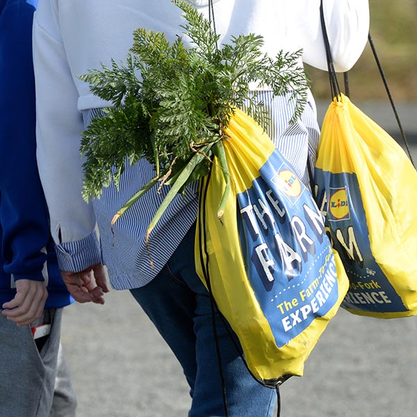 The Lidl Farm